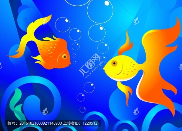 金魚數(shù)字圖像