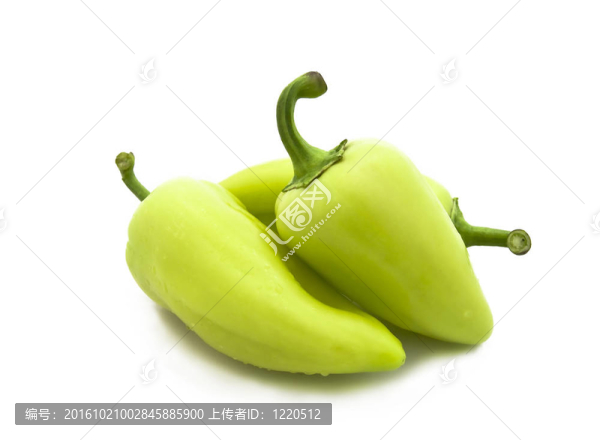 白底鮮青椒