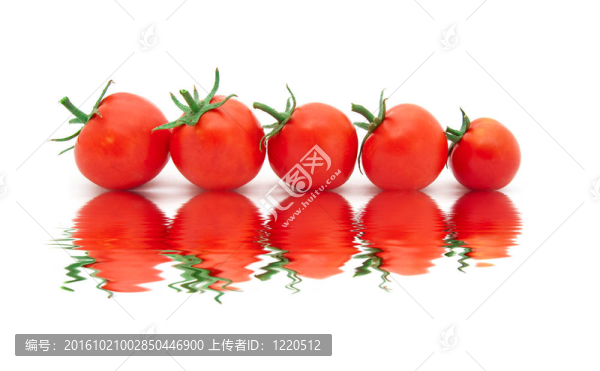美麗的成熟的西紅柿與反射在水