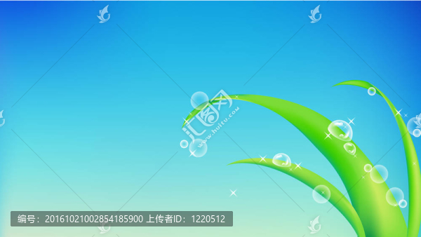 綠葉水滴