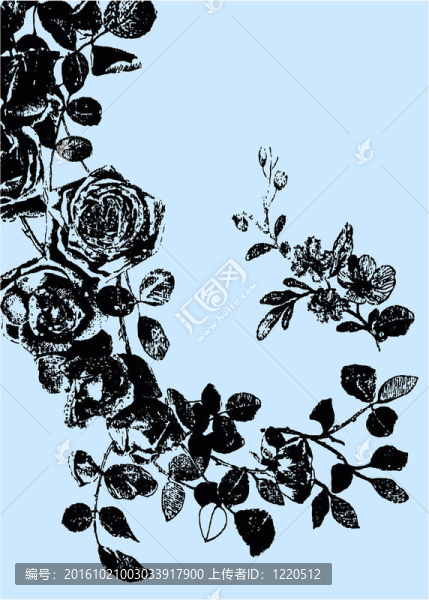 玫瑰植物插畫(huà)