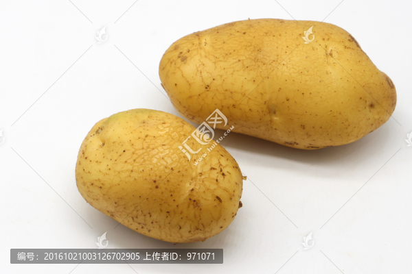馬鈴薯