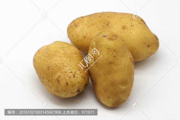 馬鈴薯