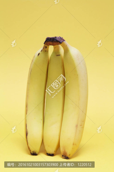 一串香蕉