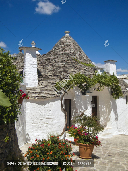 阿爾貝羅貝洛的特魯利。Apulia。