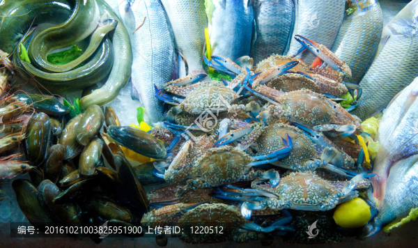 海洋食品