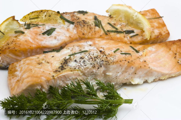 鮭魚(yú)