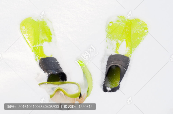 翅片；呼吸管和面罩