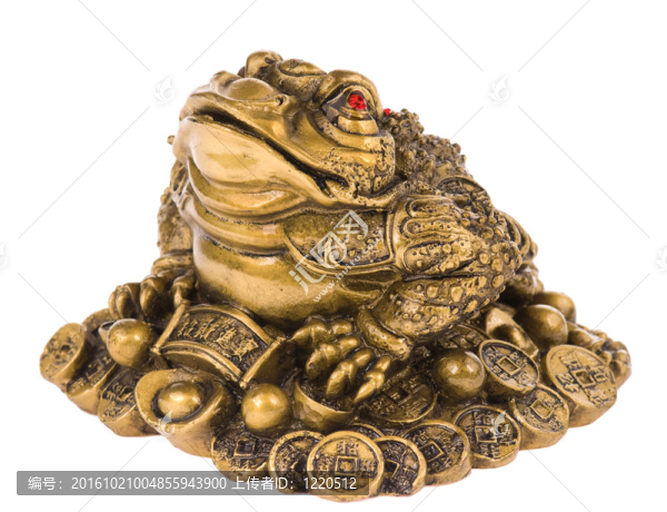 金錢蛙