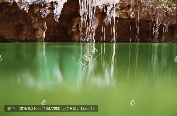 薩瑪雅叢林瑪雅金塔納羅奧州