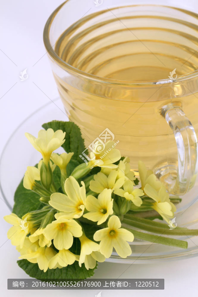 月見草茶