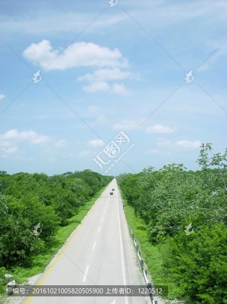 叢林路鳥瞰美國(guó)中部的墨西哥