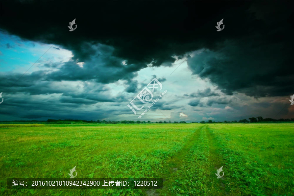 夏季綠地