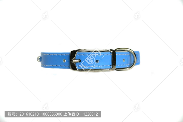 皮革動(dòng)物項(xiàng)圈隔離