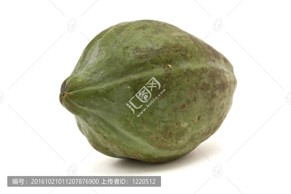 青木瓜
