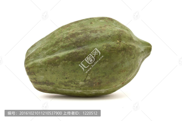 青木瓜
