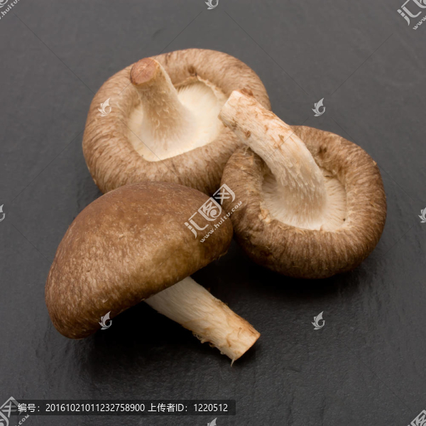 香菇