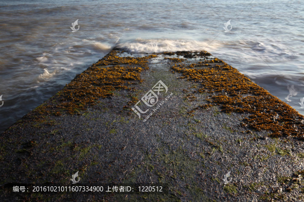 波的海邊