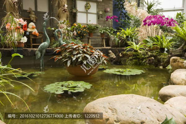 美麗的室內(nèi)花園，五顏六色的春天