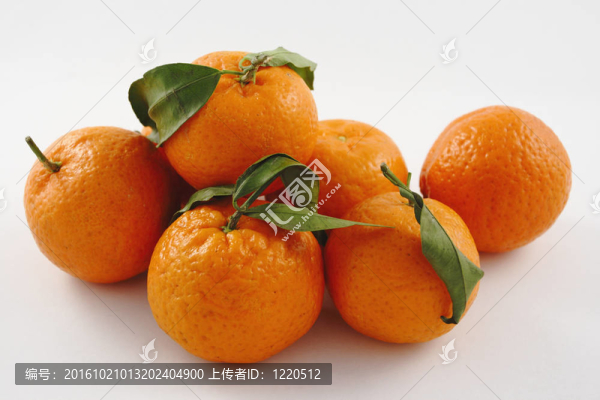 橘子