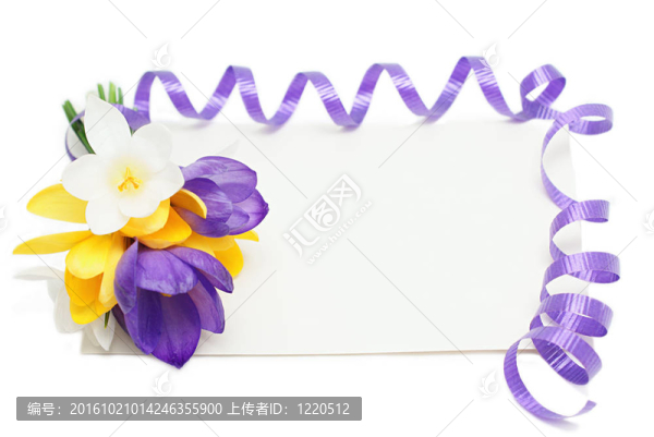 一束花