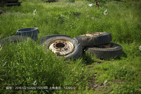 一套廢棄的卡車輪胎和車輪現(xiàn)在雜草的農(nóng)家。