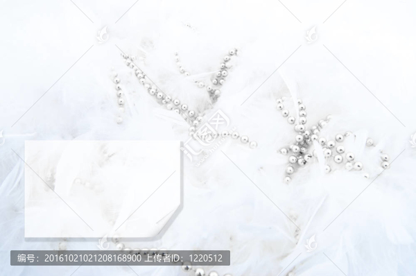 雪白的羽毛，有銀色的珠子和題字的地方