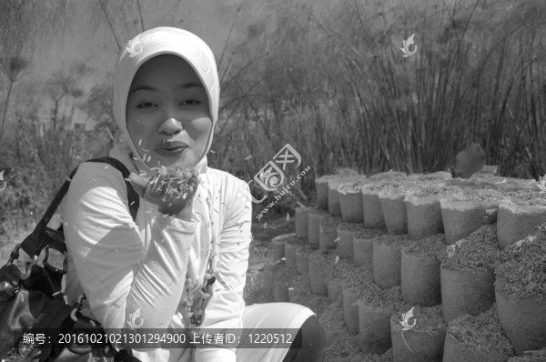 穆斯林女士