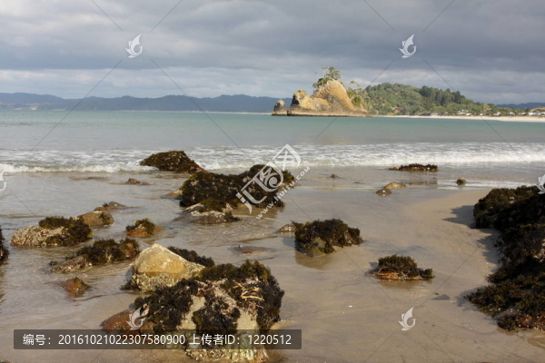 Whangapoua海岸新西蘭