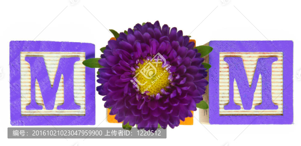 鮮花和塊