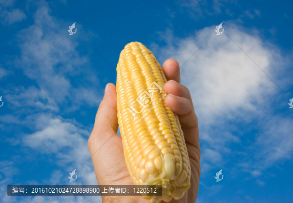 手上拿著玉米棒和不入天空。