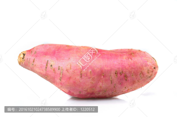 白背景甘薯。