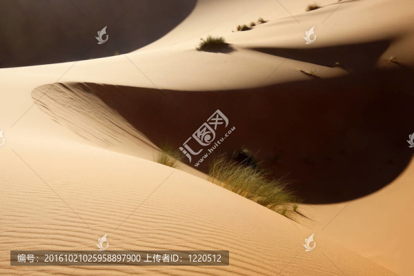 撒哈拉沙漠沙丘