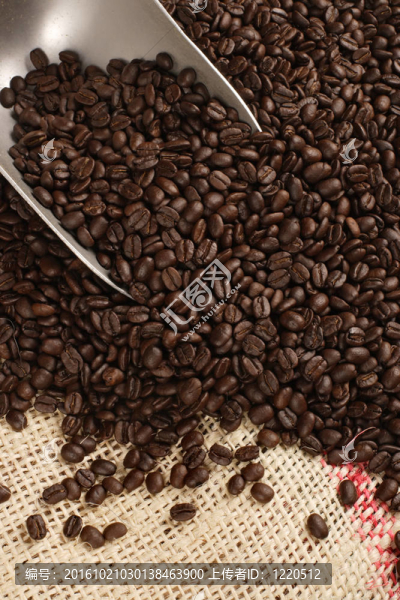 咖啡豆；勺和袋