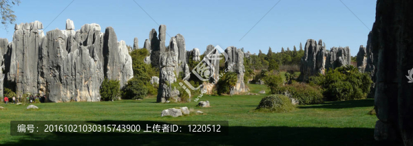 石林石林中國亞洲