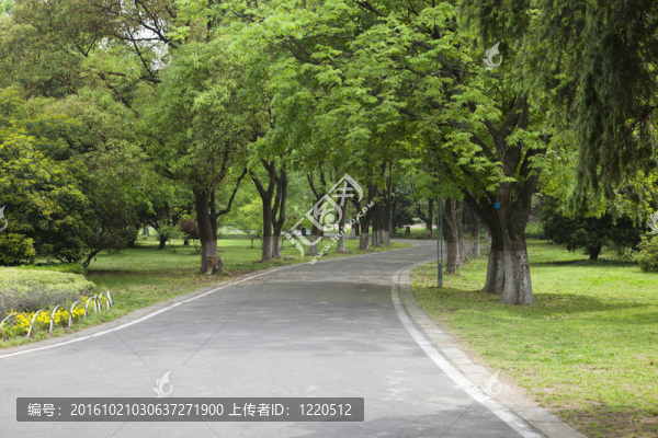 鄉(xiāng)村路