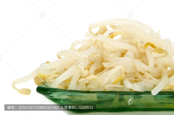 豆的新鮮豆芽