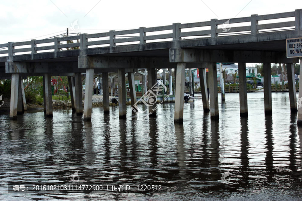 木橋