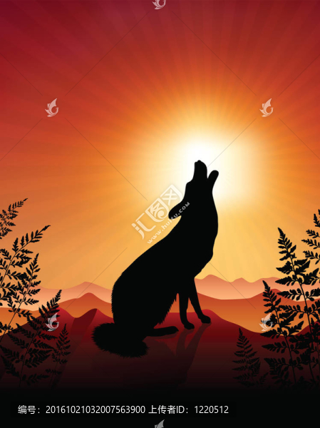 夕陽(yáng)背景下的Wolf,Howling