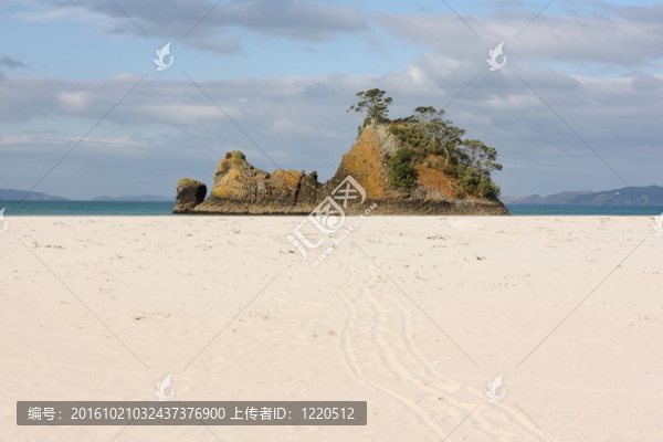 pungapunga島新西蘭