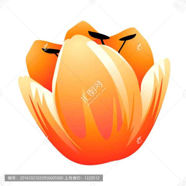 春天的花