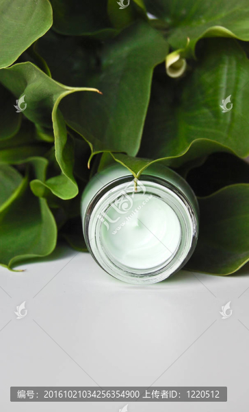 公司的產(chǎn)品為不同的概念：美；系統(tǒng)；生活方式