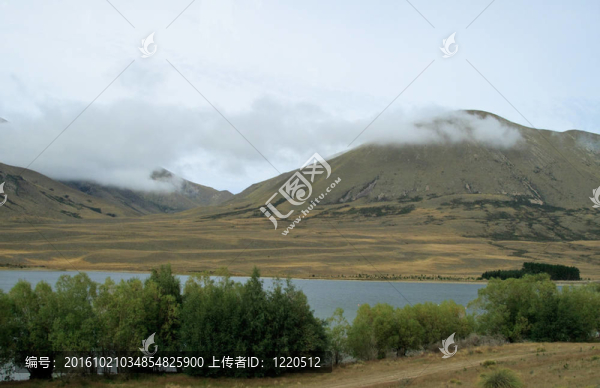 庫克山在一片草平原上