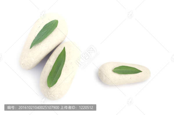 石頭和鼠尾草