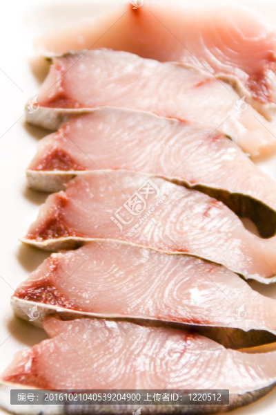 魚的肉