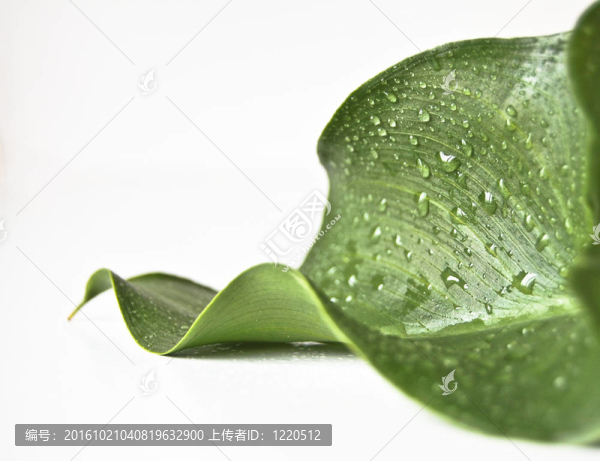 背景自然