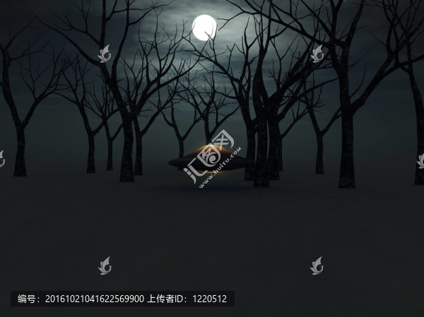 森林中的飛碟