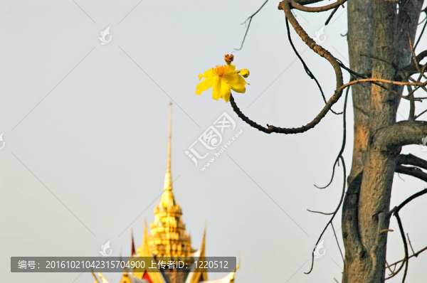 花