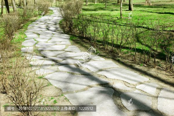 公園路
