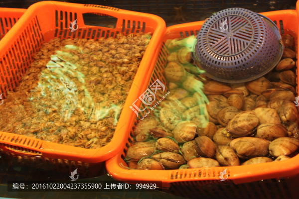 貝類海鮮